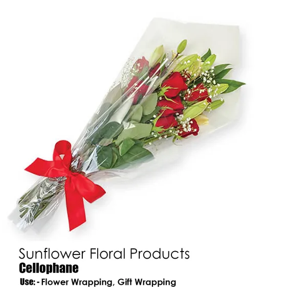 40 MICRON STAR LINE CELLOPHANE  (100 Sheets) 19"x25.5" Inch