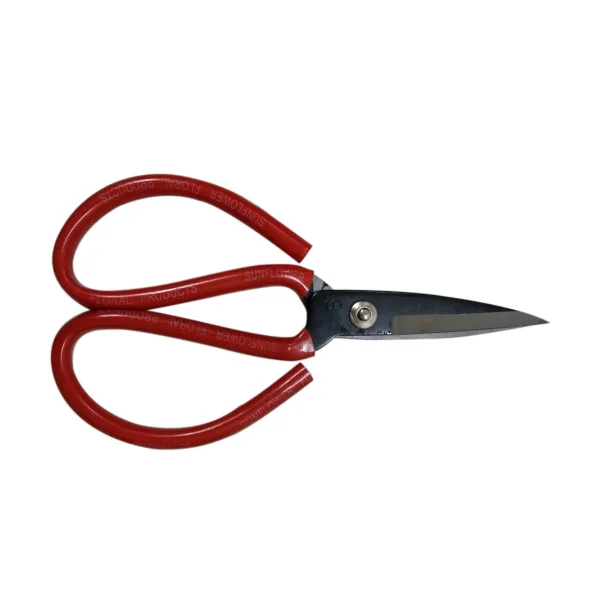 Economy Scissors Small (2 Pcs)