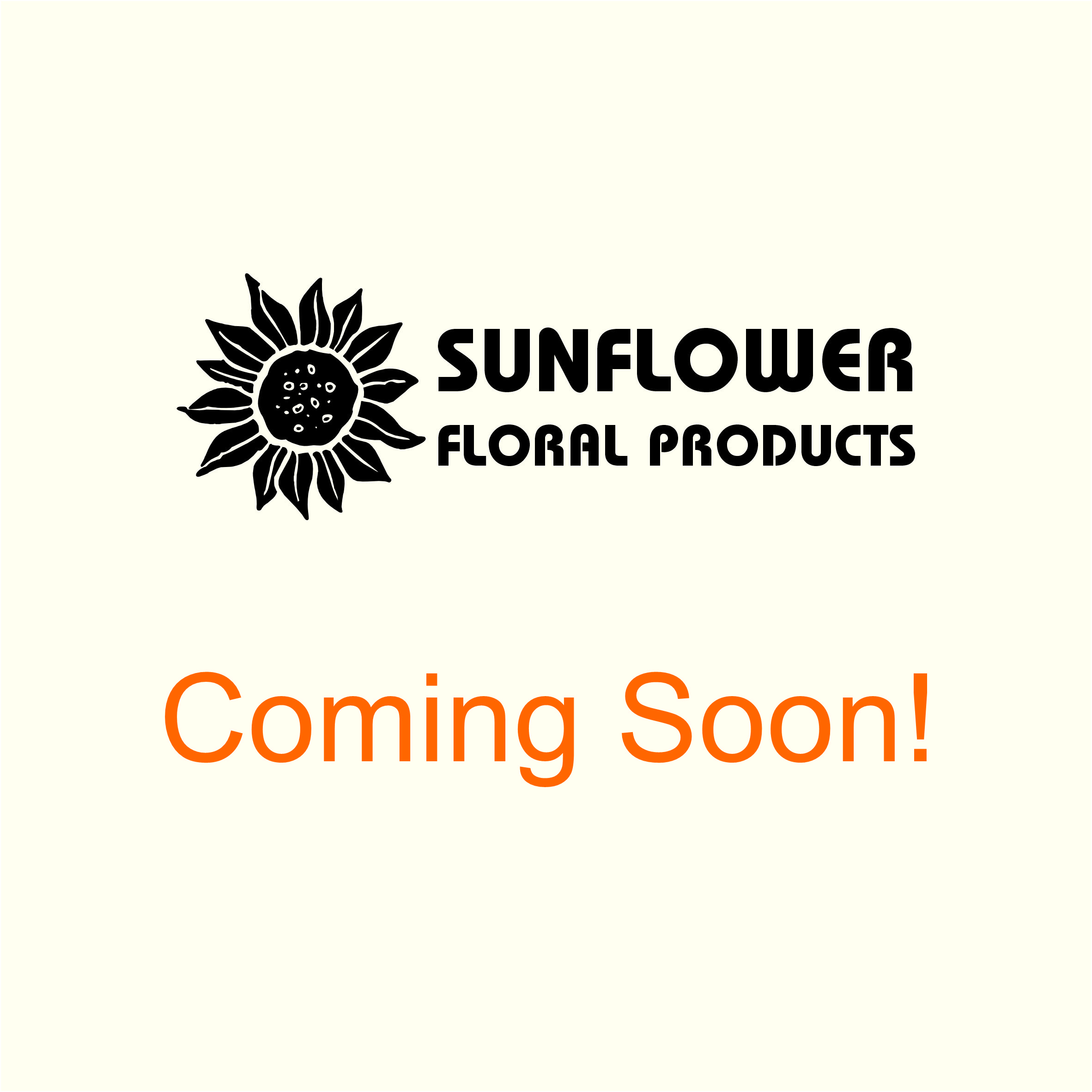 D1A Solid Single Color Paper Sheets