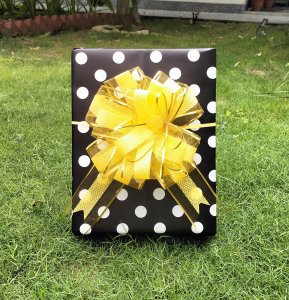 64mm Organza Puller Bow Honeycomb with Goldline (10pcs)