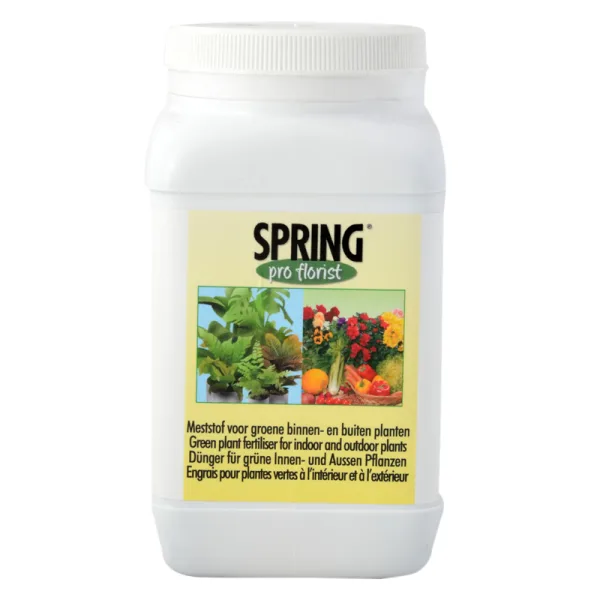 SPRING WATER SOLUBLE FERTILIZER GREEN PLANTS 12 STUKS