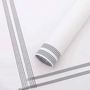 D40(01) LINE BORDER FROSTED SHEETS "WHITE" (20 Sheets) 58cm x 58cm