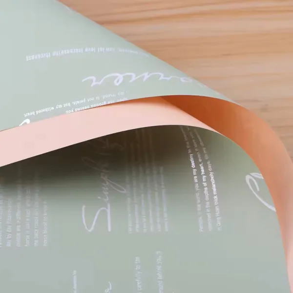 D53(05) News Printed and one side solid color, (20 Sheets) 57cm x 57cm "Champagne & Macha"