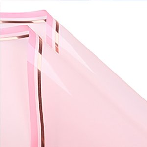 D6(02) Glossy Translucent Golden Border "L. Pink" (20 Sheets) 58cm x 58cm