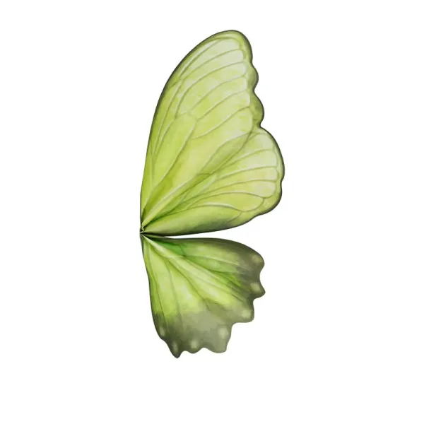 D73B(06) PAPER Butterfly Wrapping Sheet "BEANS GREEN" (10 Sheets) 50cm x 56cm
