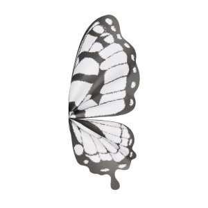 D73B(10) PAPER Butterfly Wrapping Sheet "BLACK" (10 Sheets) 50cm x 56cm