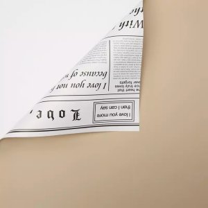 D15(02) White News Paper with Brown (20 Sheets) 58cm x 58cm