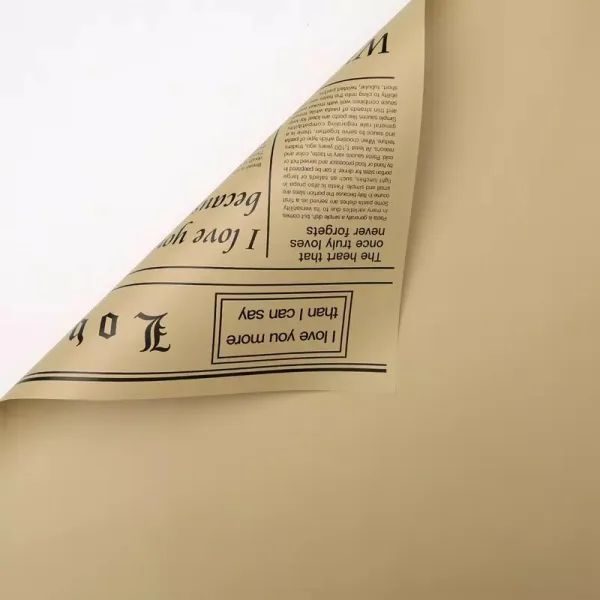 D16(02) Brown News Paper with Brown (20 Sheets) 58cm x 58cm