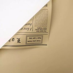 D16(02) Brown News Paper with Brown (20 Sheets) 58cm x 58cm