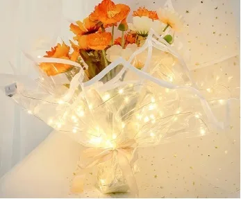 D20(01) Transparent Sheets with Lights, White (20 Sheets) 58cm x 58cm