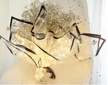 D20(02) Transparent Sheets with Lights, Black (20 Sheets) 58cm x 58cm