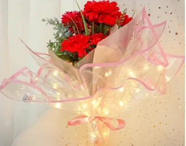 D20(03) Transparent Sheets with Lights, Pink (20 Sheets) 58cm x 58cm