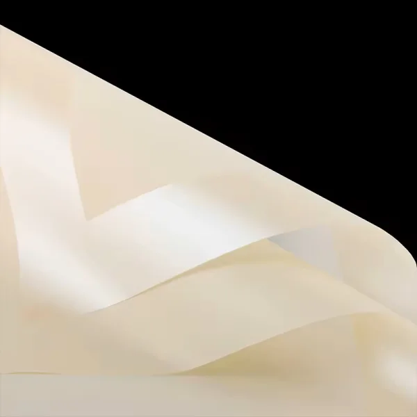 D45(02) PPQ Shine Border Korean Sheet, Beige (20 Sheets) 57cm x 57cm