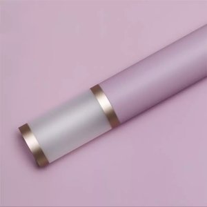 D9(08) Transparent Border with Double Line Gold Edge, Purple (20 Sheets) 58cm x 58cm