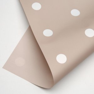 D13(04) Polka Dot Print Frosted Grey (20 Sheets) 58cm x 58cm