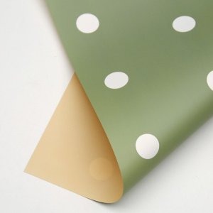 D13(05) Polka Dot Print Frosted Green (20 Sheets) 58cm x 58cm